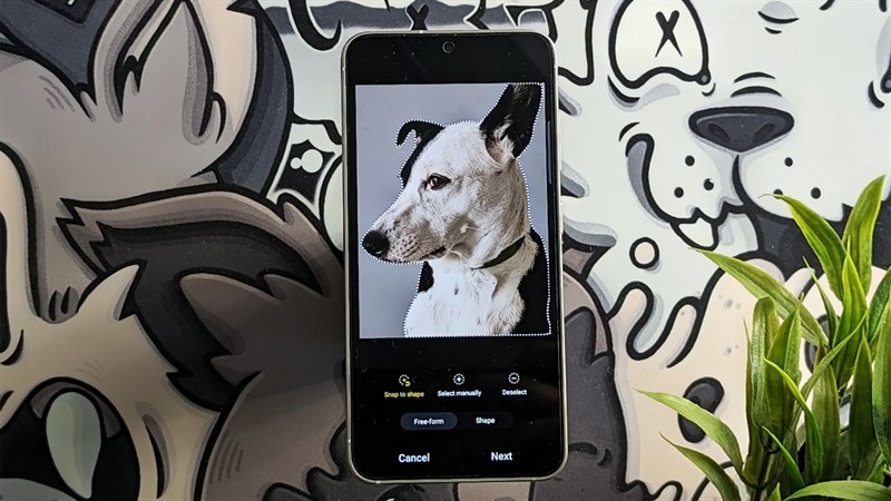 Bí quyết tạo sticker hài hước từ ảnh trên Samsung