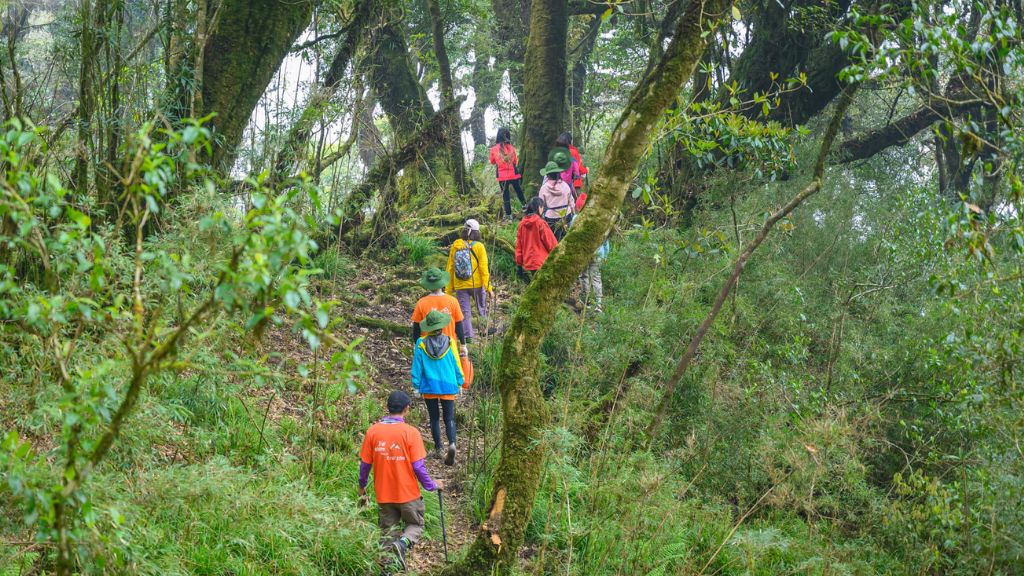 Khám phá 11 điểm trekking nổi tiếng nhất - Trải nghiệm Hành trình Đi bộ Độc đáo