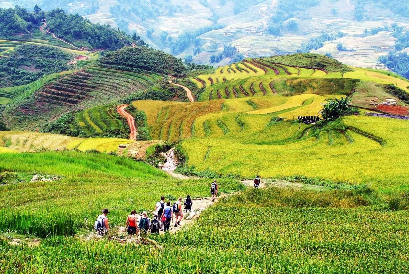 Khám phá 11 điểm trekking nổi tiếng nhất - Trải nghiệm Hành trình Đi bộ Độc đáo