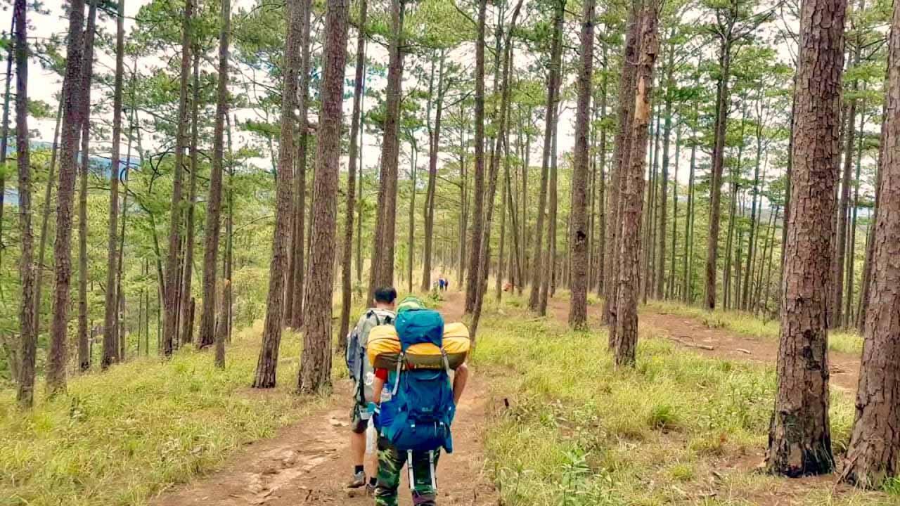 Khám phá 11 điểm trekking nổi tiếng nhất - Trải nghiệm Hành trình Đi bộ Độc đáo