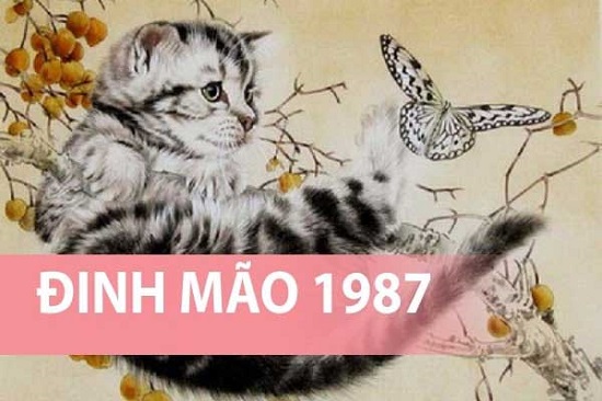 Đinh Mão 1987: Tìm Hiểu Về Hướng Tốt Nhất - Mytour