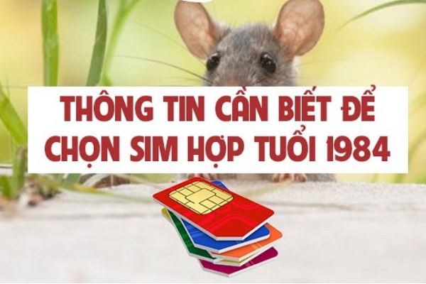 Sim Hợp Tuổi Giáp Tý 1984 - Bí Quyết Chọn Sim Phong Thủy Hút Tài Lộc