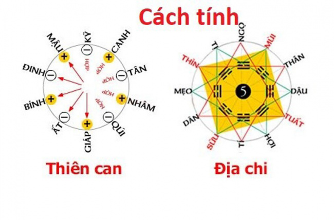 Cách Tính Năm Con Giáp Vàng