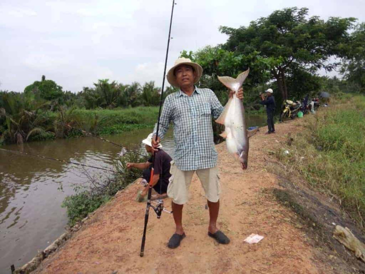 Khám phá hơn 160 hình ảnh đẹp của cá tra Việt Nam, một trong những sản phẩm xuất khẩu đang rất hot hiện nay.