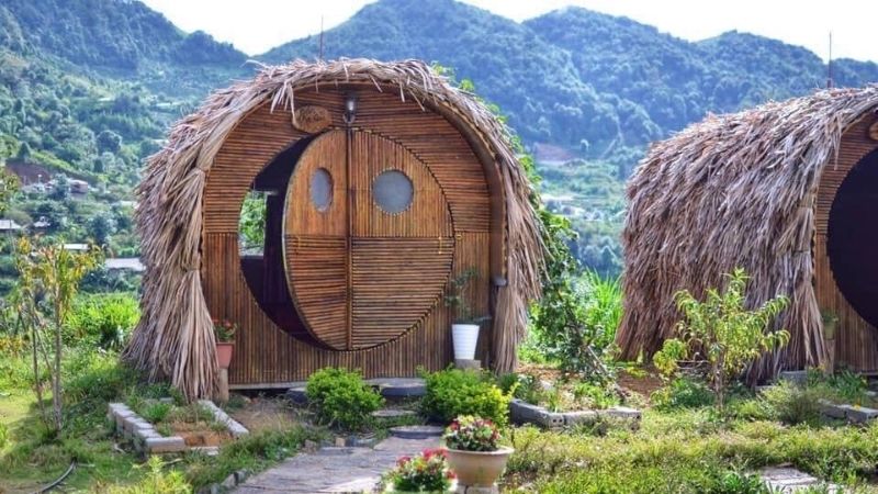 11 homestay Tà Xùa với giá cực kỳ ưu đãi, cùng ngắm nhìn vẻ đẹp tuyệt vời