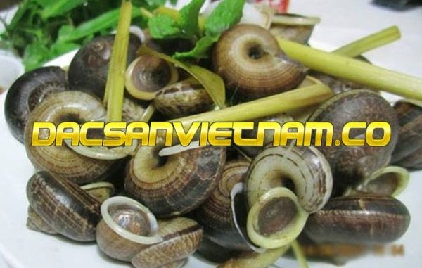 Danh sách 12 đặc sản Tây Ninh làm quà mà du khách rất ưa chuộng