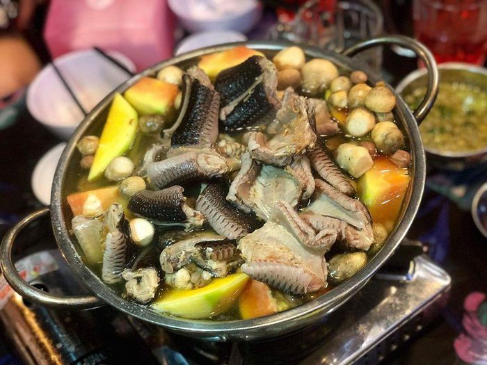 Bến Ninh Kiều Cần Thơ có gì thú vị? Kinh nghiệm ĂN - CHƠI siêu chi tiết