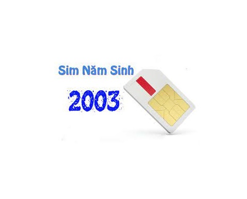 Chọn sim phù hợp cho người sinh năm 2003 Quý Mùi để đạt may mắn và thành công