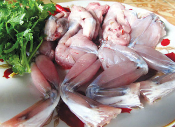 Hướng dẫn làm ếch xào măng đơn giản