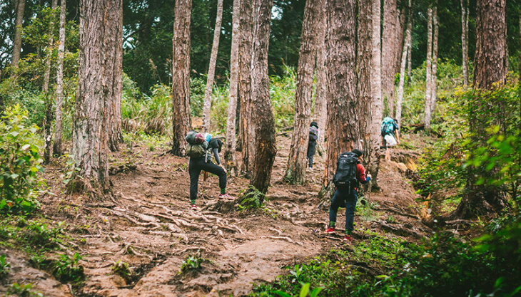 Trekking là gì? Có gì thú vị?