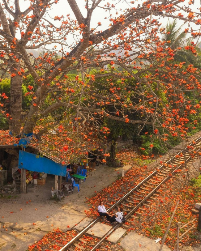 Sự quyến rũ của những mùa hoa tháng 3 tại Việt Nam