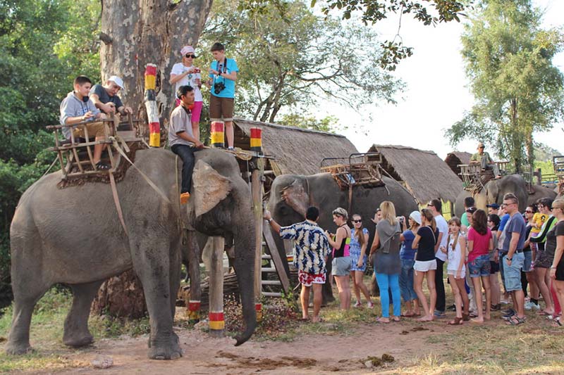 Top 30 Địa Điểm Du Lịch Tây Nguyên Gây Nghiện