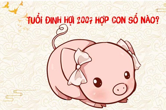 Bí quyết chọn sim phù hợp với tuổi 2007 Đinh Hợi để đạt được may mắn và thành công