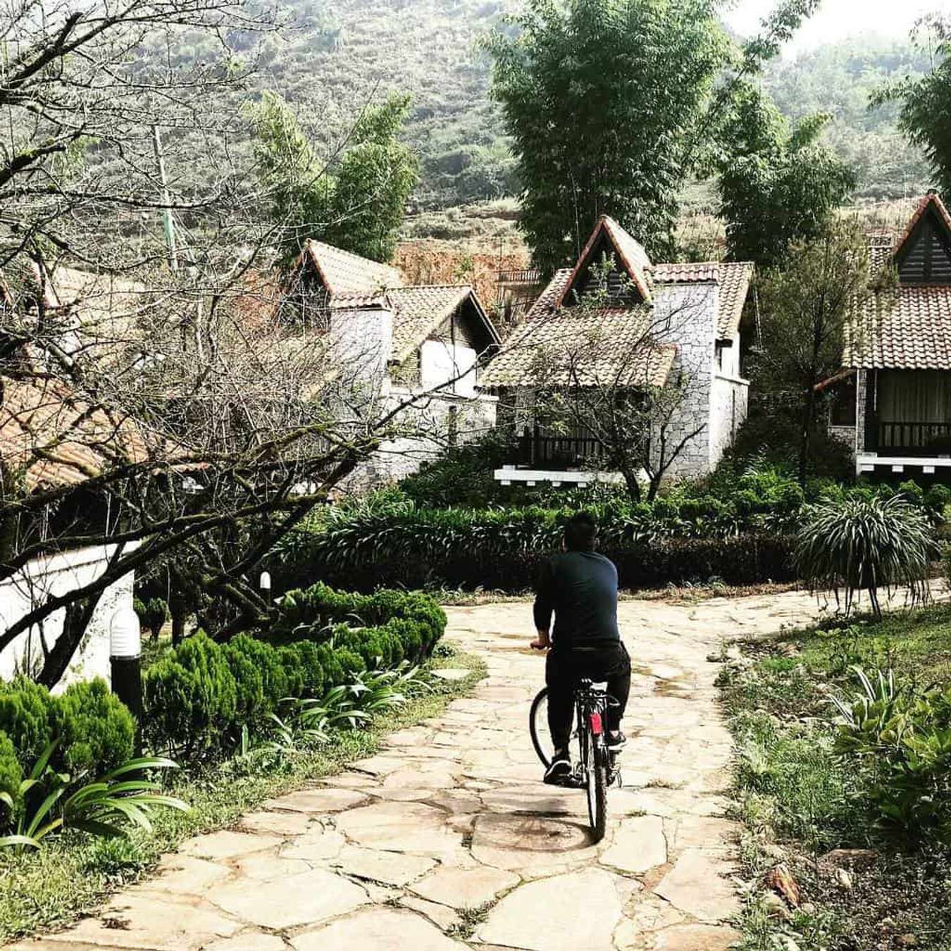 Khám phá 5 điểm du lịch lý tưởng nhất ở miền Bắc khi lúa chín