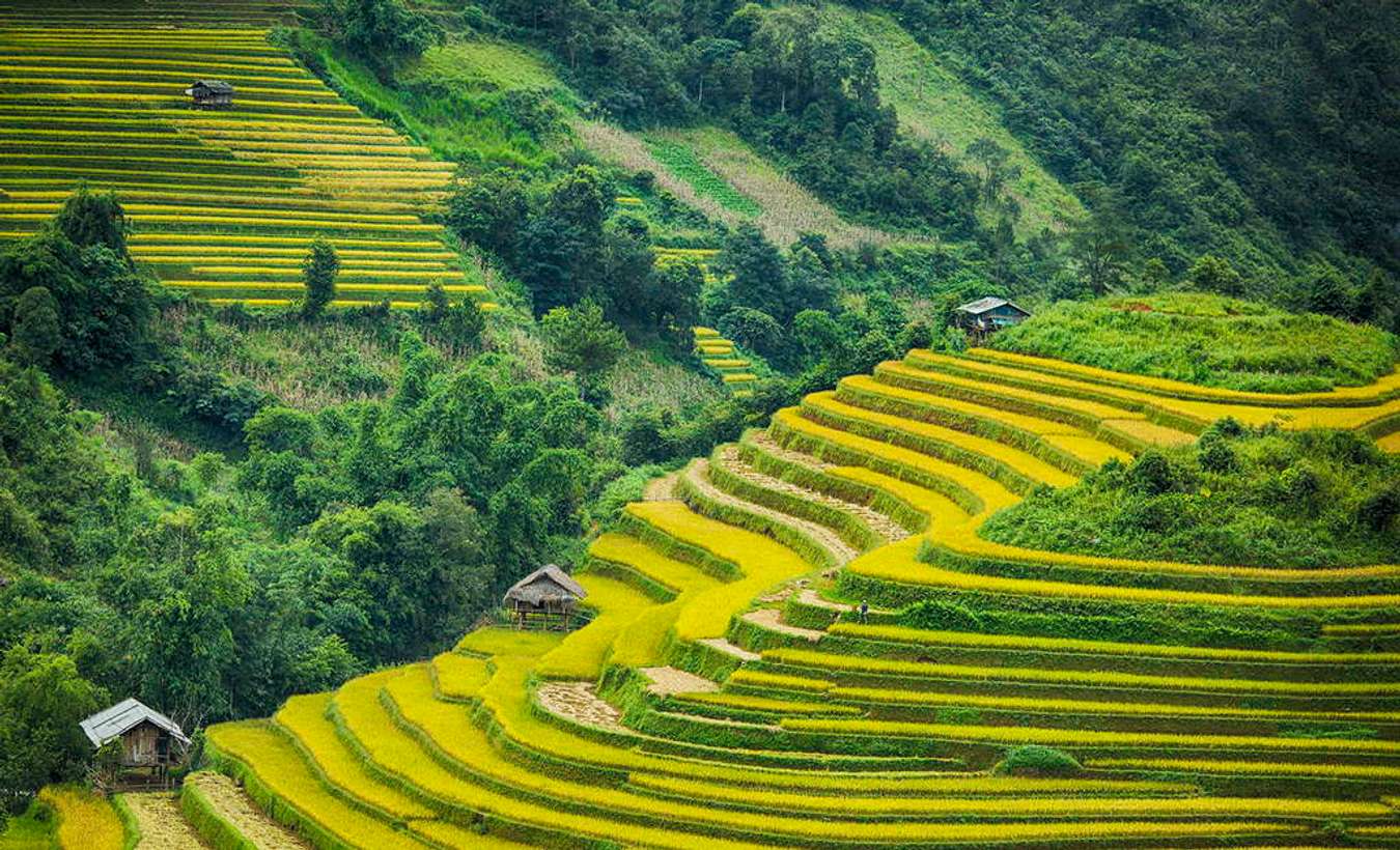 Khám phá 5 điểm du lịch lý tưởng nhất ở miền Bắc khi lúa chín