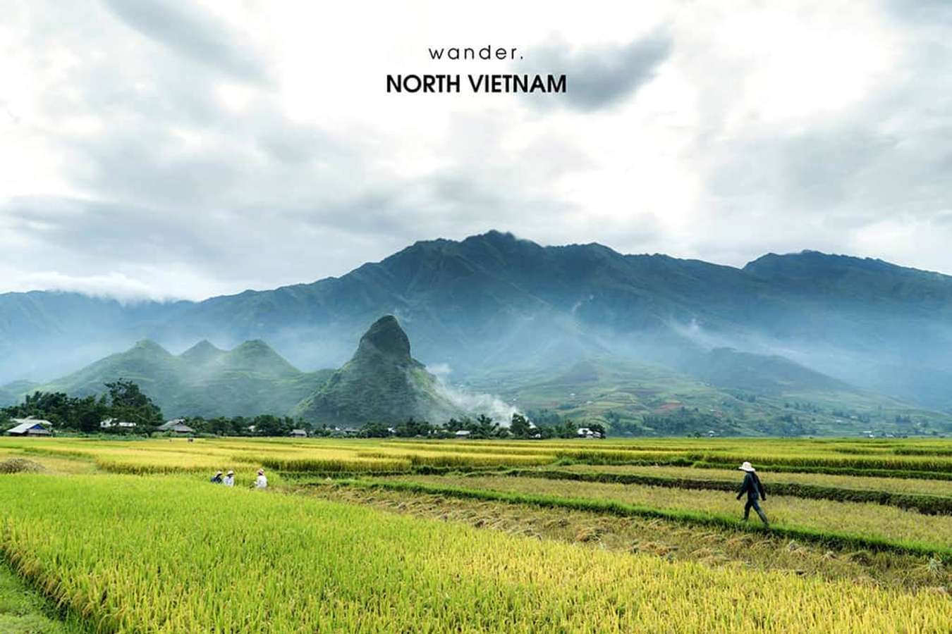 Khám phá 5 điểm du lịch lý tưởng nhất ở miền Bắc khi lúa chín