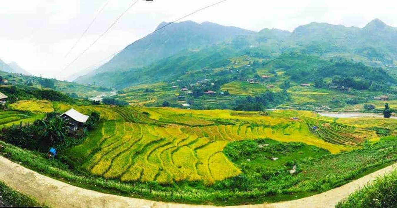 Khám phá 5 điểm du lịch lý tưởng nhất ở miền Bắc khi lúa chín