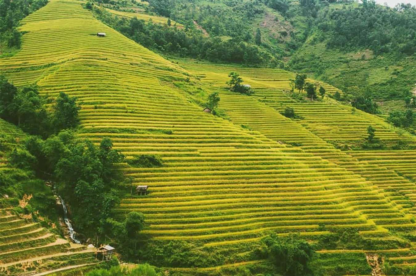 Khám phá 5 điểm du lịch lý tưởng nhất ở miền Bắc khi lúa chín