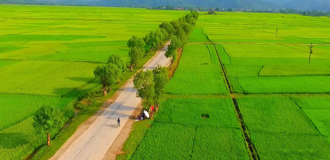 Khám phá 5 điểm du lịch lý tưởng nhất ở miền Bắc khi lúa chín
