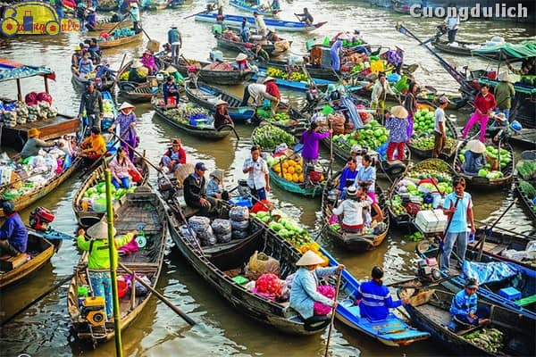 Văn Thuyết Minh Có Sử Dụng Biện Pháp Nghệ Thuật: Khám Phá Sự Tinh Tế Trong Từng Lời Văn