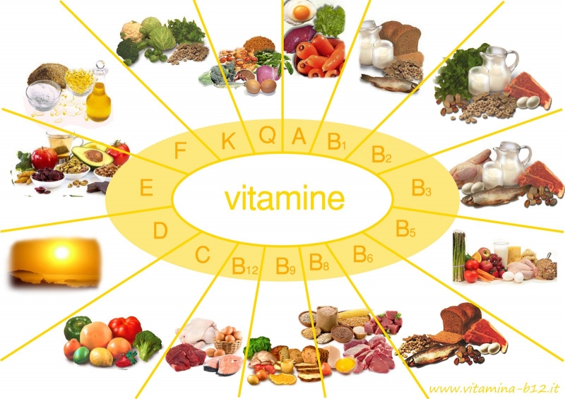 Top 9 vitamin quan trọng giúp nuôi dưỡng mái tóc khỏe mạnh - Mytour.vn