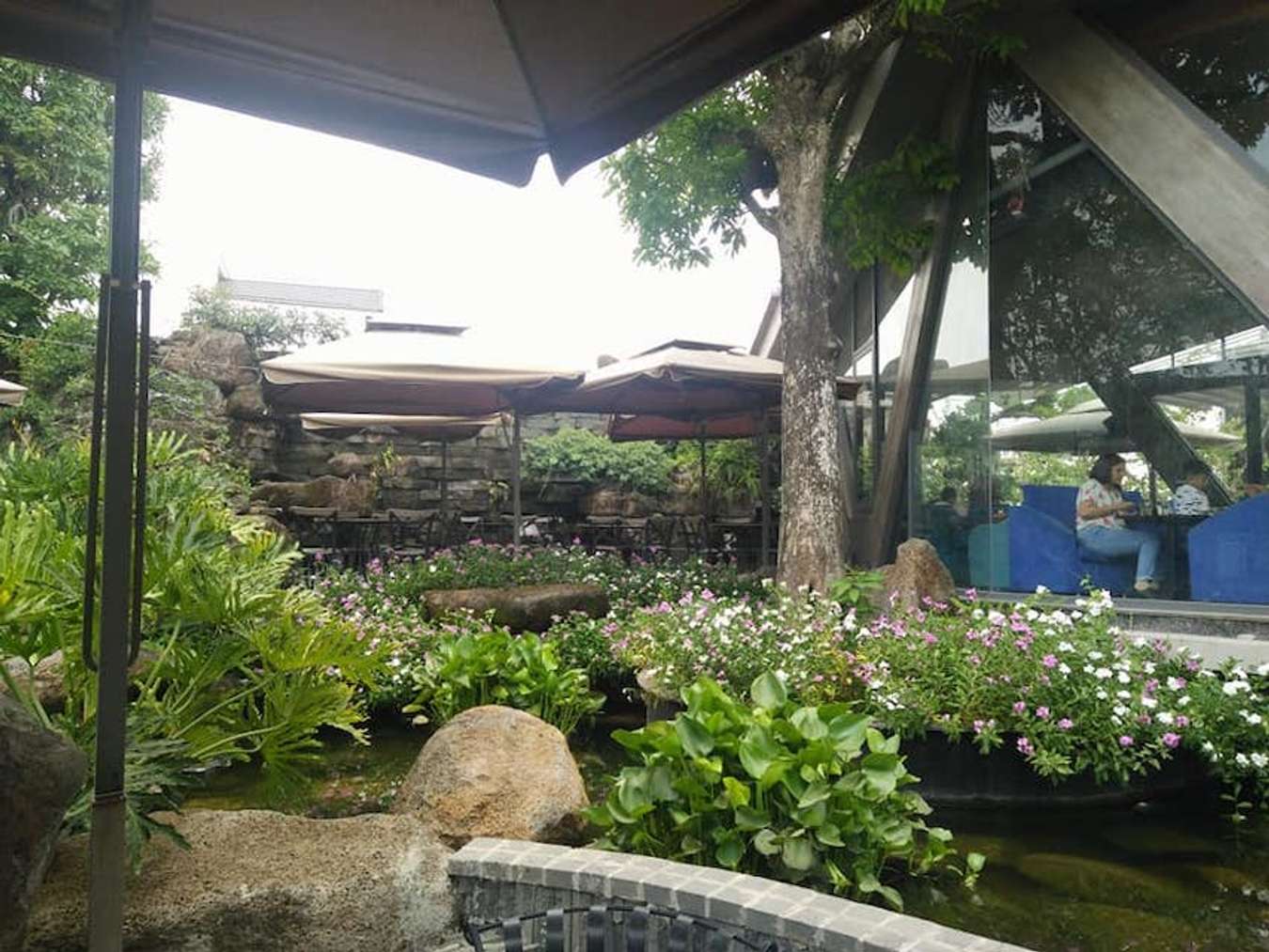 Top 10 quán cafe xanh mát tại TPHCM, nơi hòa mình vào thiên nhiên bình yên