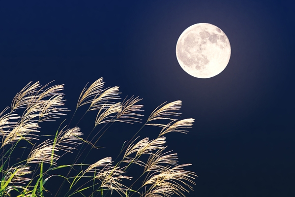 bài văn tả đêm trăng