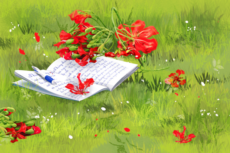Hình ảnh đẹp về hoa phượng đỏ, gợi nhớ kỷ niệm tuổi học trò -  QuanTriMang.com