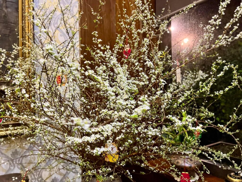 Cách cắm hoa tuyết mai độc đáo, giữ tươi lâu để trang trí ngôi nhà