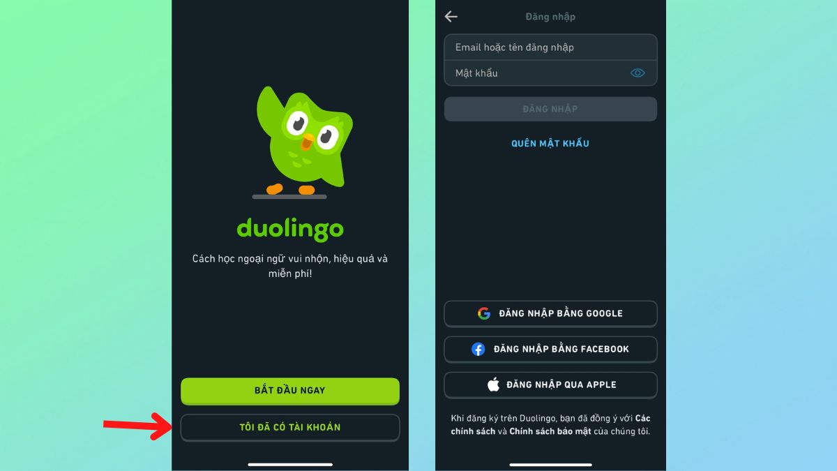 Duolingo - Khám phá cách tải và đăng ký học tiếng Anh