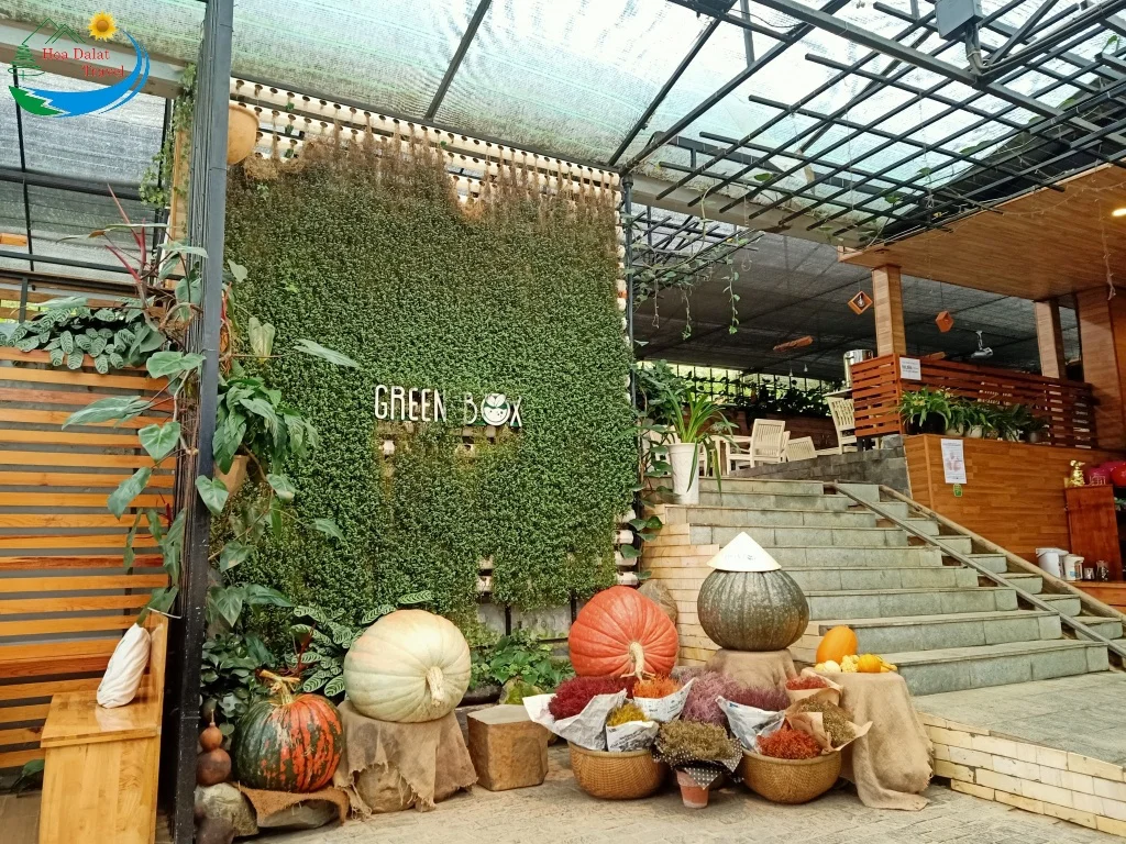 TOP 70+ Địa Điểm Cafe Đẹp Ở Đà Lạt với Góc View Cực Đẹp, Trải Nghiệm Sống Ảo Cực Chất