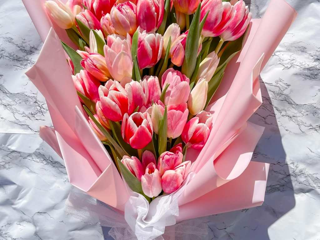 Ý Nghĩa Đặc Biệt của Hoa Tulip Theo Màu Sắc và Số Lượng Trong Việc Tặng Quà