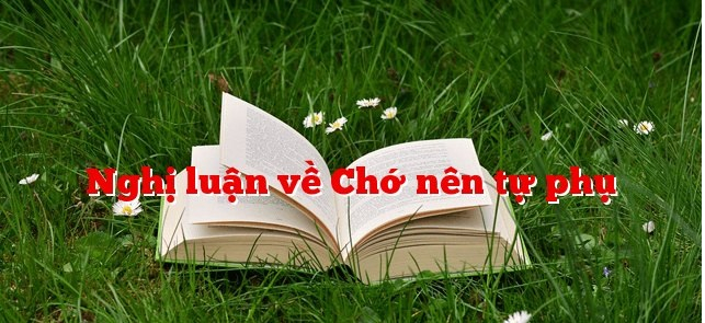 Bài Văn Chớ Nên Tự Phụ - Hướng Dẫn Viết Bài Nghị Luận Hay Nhất