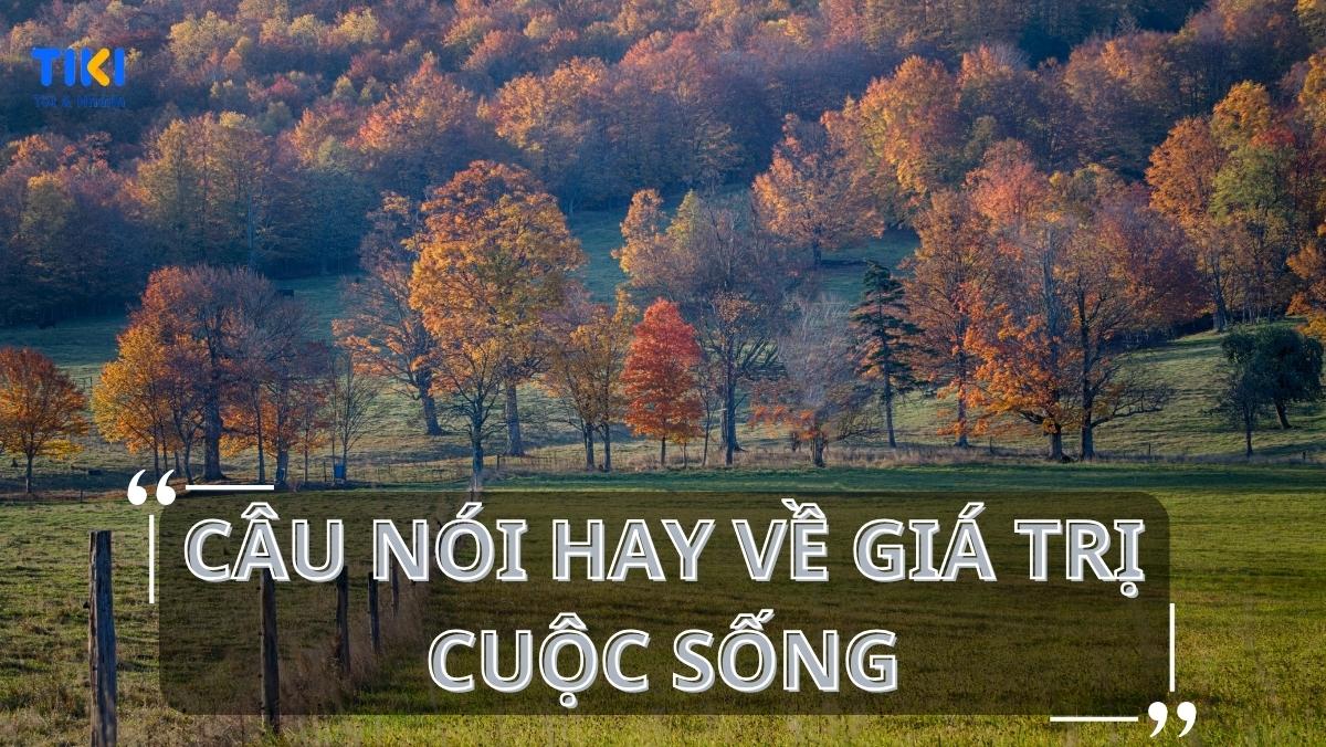 Những câu nói ý nghĩa về giá trị cuộc sống, làm thay đổi tâm trạng | Mytour