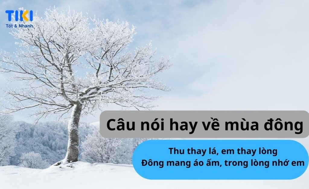 70+ STT mùa đông, CAP mùa đông thả thính, hài hước, những câu nói hay về mùa đông 