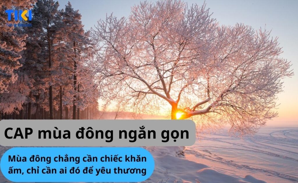 70+ STT mùa đông, CAP mùa đông thả thính, hài hước, những câu nói hay về mùa đông 