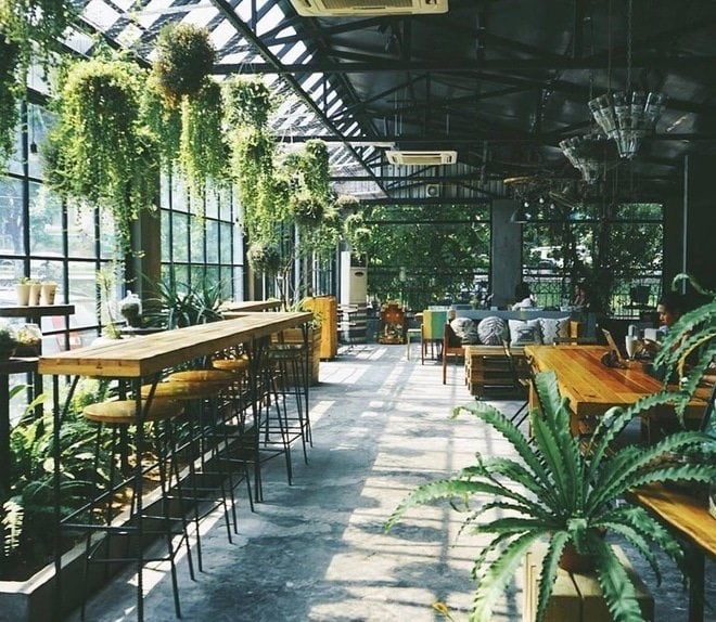 CÀ PHÊ SÂN VƯỜN MÁT MẺ ĐẬM CHẤT NAM BỘ Ở CAO LÃNH