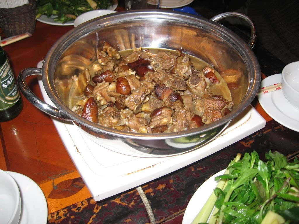 Khám phá 7 quán lẩu chó Hà Nội hấp dẫn - Sự lựa chọn của những tín đồ nhậu