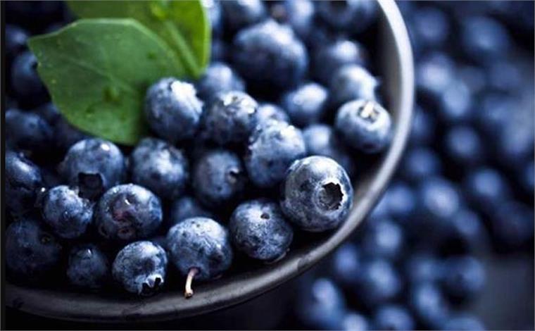 Bí quyết làm yaourt việt quất thơm ngon, mát lành