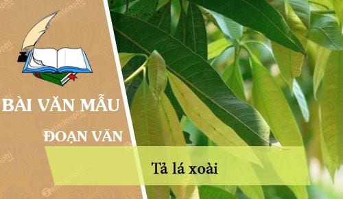 Miêu tả cây xoài lớp 4