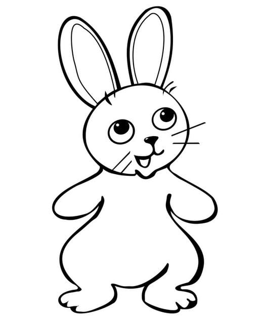 Bộ sưu tập 50 bức tranh tô màu con thỏ dễ thương dành cho bé | Clip art, Dễ  thương, Họa sĩ