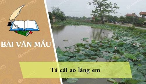 Tả Cái Ao - Khám Phá Vẻ Đẹp Bình Dị Của Làng Quê