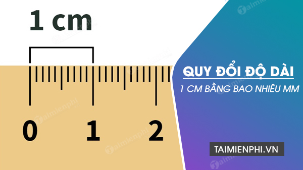 5cm bằng bao nhiêu m - Cách đổi đơn vị dễ hiểu nhất