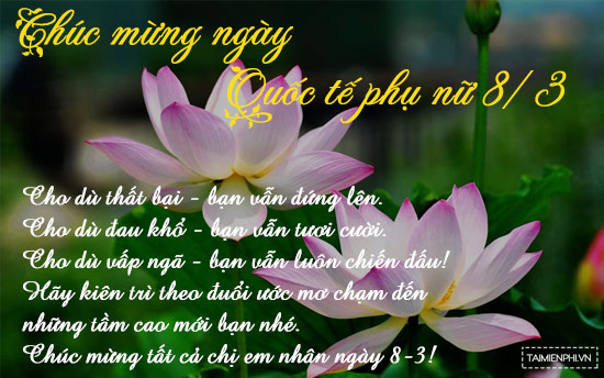 Bộ sưu tập hoa chúc mừng 8/3 2023, kỷ niệm Ngày Quốc tế Phụ nữ