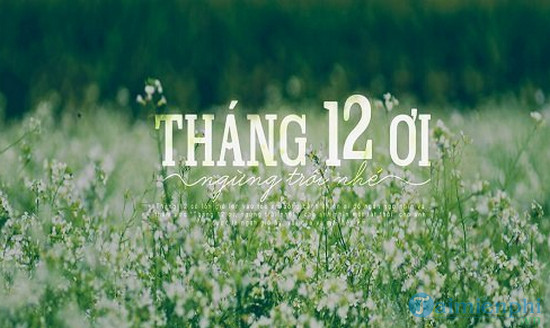 Hình ảnh chào tháng 12, làm STT với sự sáng tạo đặc biệt