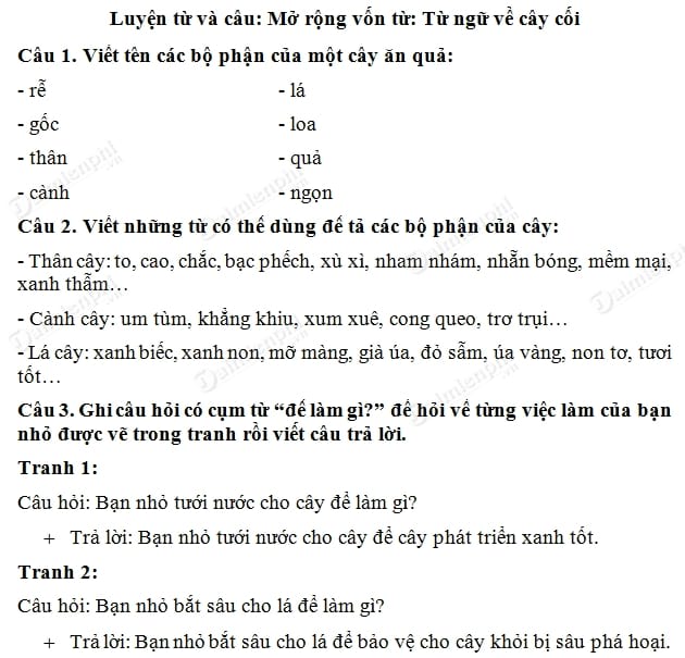 Từ Chỉ Cây Cối: Tìm Hiểu Đầy Đủ và Chi Tiết Về Các Loại Cây