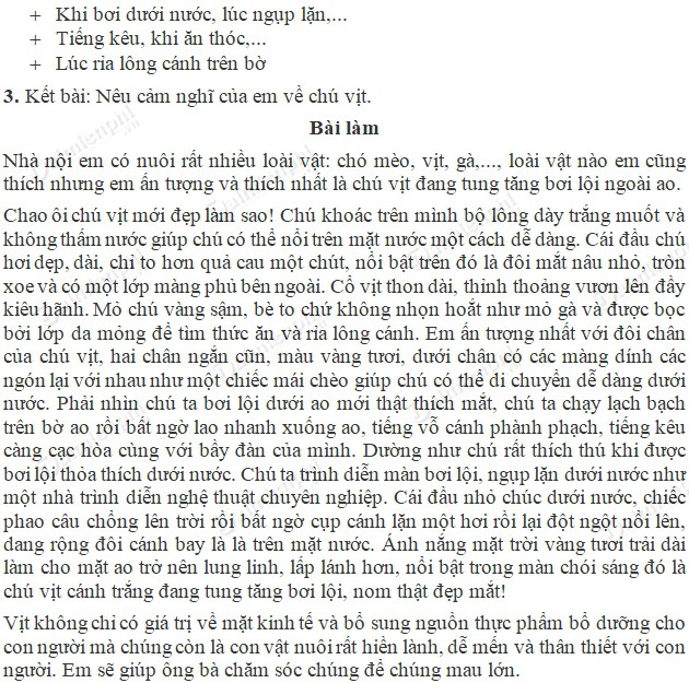 Bài Văn Tả Con Vật Lớp 5 - Những Mẫu Văn Hay Nhất