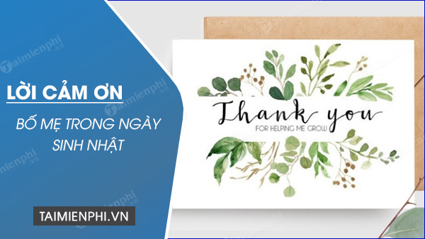 Lời Cảm Ơn Cha Mẹ Trong Ngày Sinh Nhật: Hành Trình Yêu Thương Và Biết Ơn