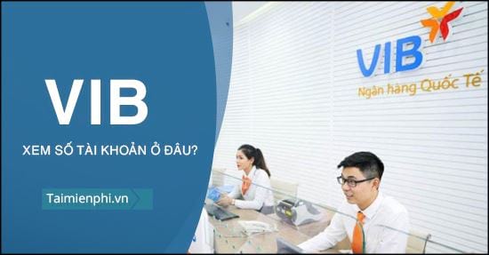 Vị trí của số tài khoản VIB và số lượng số là gì?