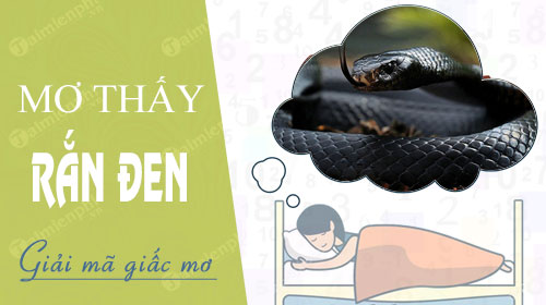 Nằm Mơ Thấy Rắn Đen Đánh Con Gì? - Giải Mã Giấc Mơ Và Con Số May Mắn